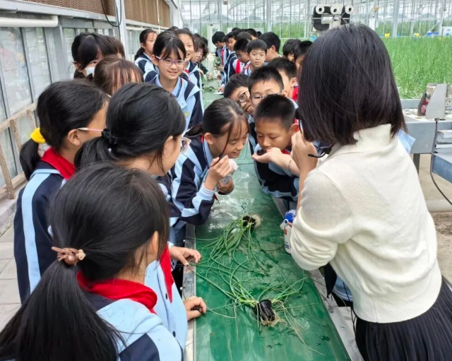 联成构建家校社企医教联体为孩子健康快乐生长赋能增值